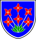 Wappen von Občina Šalovci