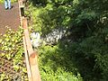 reinforced concrete exhaust/blast pit that directed rocket blasts "out and away" from test gantry. "very overgrown and has appx. 4-5 feet of stagnant standing water"