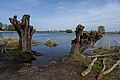 Zicht op de Otheensche Kreek vanaf het natuurgebied