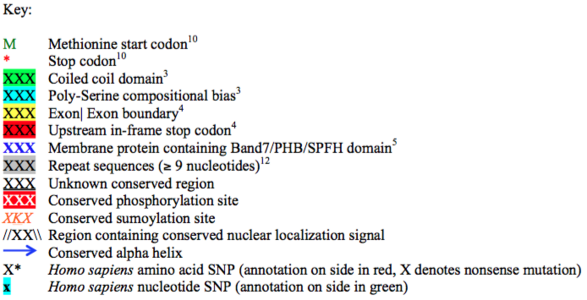 Conceptual translation key