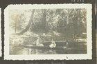 Vacations at the Coropina Creek (1936)