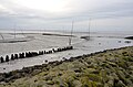 Nationalpark Wattenmeer