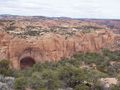 Navajo NM Arizona