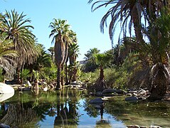 Oasis de Santa Gertrudis, Baja California, USA