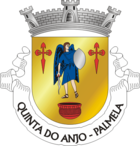 Wappen von Quinta do Anjo