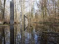 Blick über die Wasserfläche zu den Bodenplatten