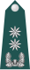 새 SVG 이름