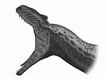 Allosaurus