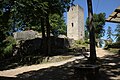 Burg Schwarzenburg, Oberpfalz