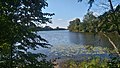 Lake Rokola near the palace