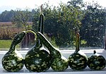 five gourds