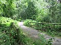 Brücke über den nördlichen Bach