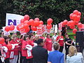 Nurses protesting at Parliament House