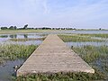 Steg an der "Salzwiese", Norderney