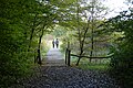 Übergang vom Wald in die Offenfläche