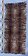 Leopardkatzentafel