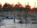 Winterliche Wasserfläche im Bereich Paradies