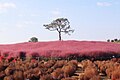 Anseong Farm Land