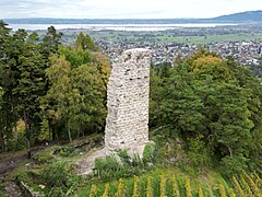 Burgruine Grimmenstein (Luftaufnahme: Blickrichtung Norden)