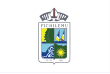 Vlag van Pichilemu