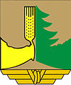 Wappen von Iłowo-Osada