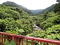 Blick auf das Name-Flusstal (滑川渓谷)