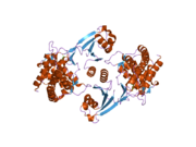 2cko: CRYSTAL STRUCTURE OF HUMAN CHOLINE KINASE ALPHA 2