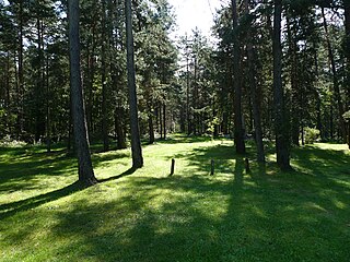 Der Wald bei Ponary