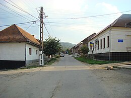 Lăpușnicel – Veduta