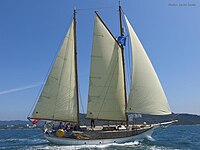 Black Dolphin Sailboat