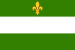 Vlag