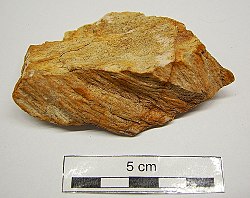 Shatter cone in einem Sandstein vom Impaktkrater Gosses Bluff in Australien