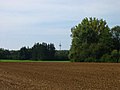 Quellgebiet des Starzelbachs nahe dem Fernmeldeturm Schöngeising