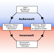 (v4) xavax: Vereinfachte Fassung; jetzt mit jeweils drei Zeilen