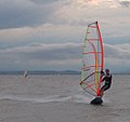 Windsurfer