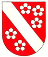 Wappen von Oberwangen