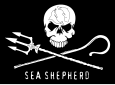 Flagge von Paul Watsons Umweltschutzorganisation „Sea Shepperd“