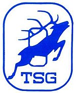 Vereinswappen der TSG Oßweil