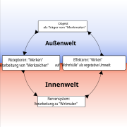 (v3) Anaxo: Die Kästchen sind angepaßt an die Schrift, aber ...