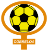 CD Cobreloa