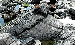 Ein etwa 2 m langer shatter cone in ordovizischen Kalksteinen des Impaktkraters von Charlevoix in Québec, Kanada