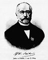 Julius von Wickede