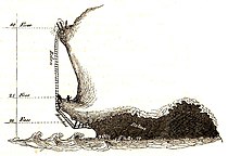 Die gefahrvolle Ernte der essbaren Schwalbennester an der felsigen Südküste Javas in ausgespülten Höhlen. Die aus Rotan gefertigten Gerüste wurden bis zum Ende dieser Höhlen an der Decke aufgehängt[180]