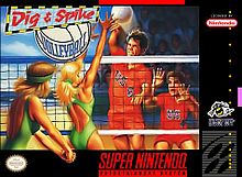 Dig & Spike Volleyball