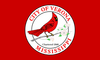 Flag of Verona, Mississippi