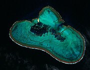 A coral reef viewed from space. It is roughly the shape of a bean.