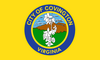 Flag of Covington, Virginia