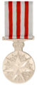 The Distinguished Service Medal.