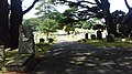 A view across the cemetery