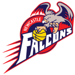 Newcastle Falcons logo